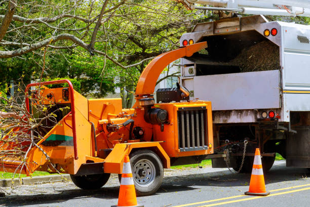 Best Lawn Grading and Leveling  in Phillipsburg, NJ